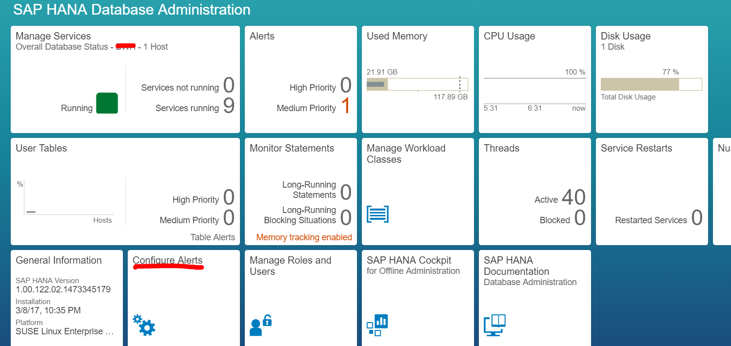 Sap check. SAP Hana database. SAP XSA Hana DB Artifacts roles views CDS. Hana Cockpit DB Manager